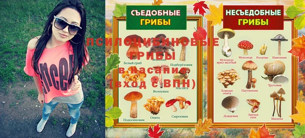 прущие крисы Туринск