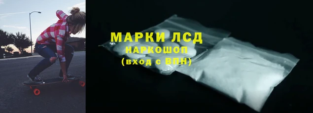 прущие крисы Туринск