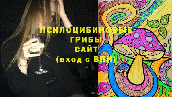 дмт Тутаев
