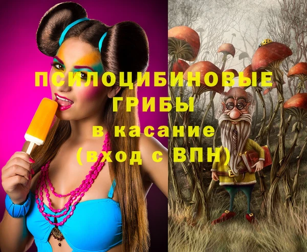 прущие крисы Туринск